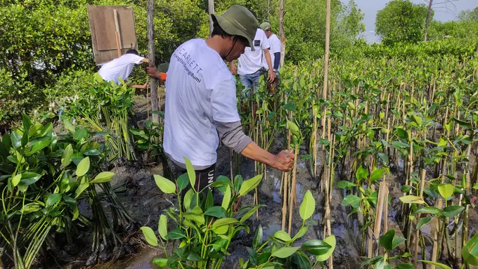 Gerakan Sejuta Pohon, Skincare Lokal ini Tanam 3000 Mangrove