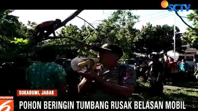 Walikota Sukabumi Muhamad Muraz akan mendata kembali pohon besar yang rawan tumbang untuk mencegah hal serupa.
