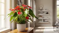 7 Cara Rawat Anthurium di Rumah, Tumbuh Subur dan Rajin Berbunga