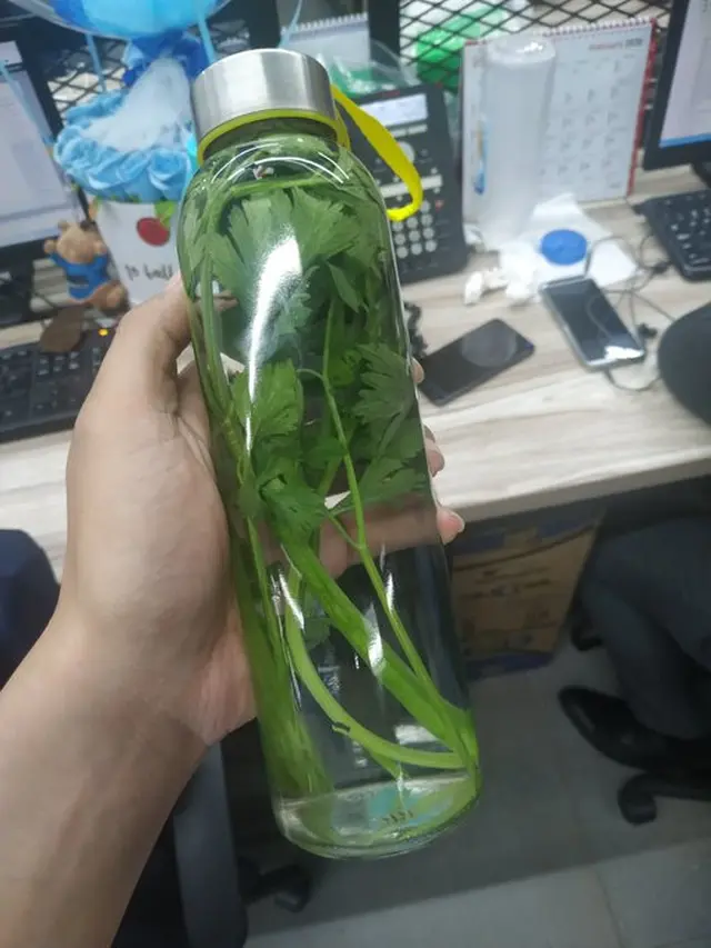 6 Potret Aquascape Low Budget Ini Bikin Pencinta Ikan Hias Senyum Tipis