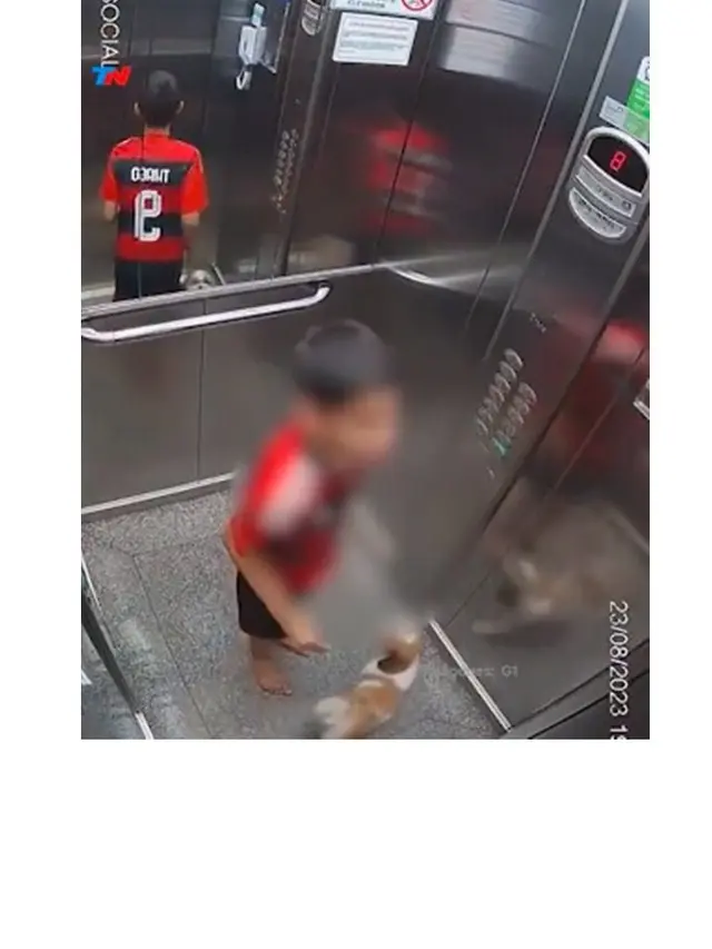 Aksi Bocah Selamatkan Anjing Peliharaan yang Terjebak di Lift Ini Banjir Apresiasi