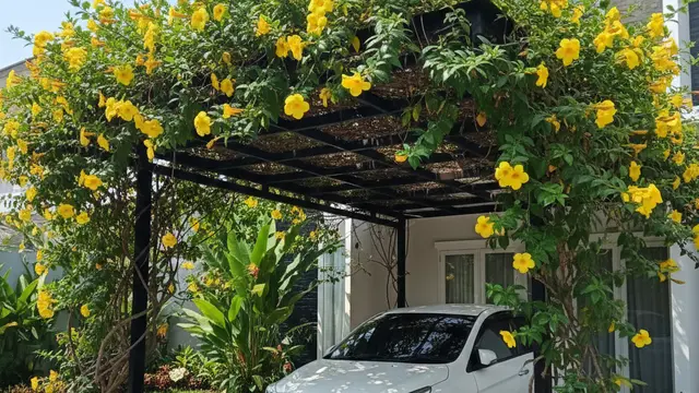 Ide Tanaman Rambat untuk Carport. AI