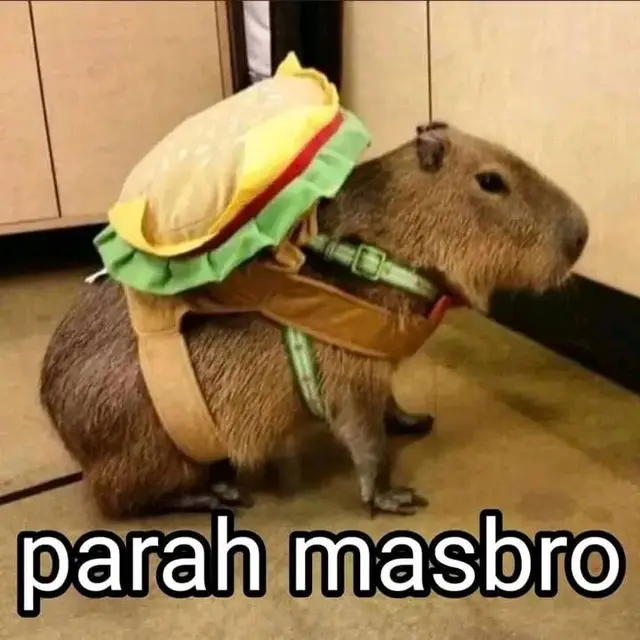 7 Meme Kocak Hewan Kapibara yang Dijuluki Mas Bro oleh Netizen Ini Imut Saat Cosplay
