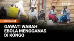 Satu bulan setelah wabah Ebola resmi diumumkan di Republik Demokratik Kongo, jumlah kasus terus melonjak tajam. Hingga kini, tercatat 782 kasus terkonfirmasi dengan 181 kematian di tiga provinsi terdampak, menjadikan wabah ini salah satu yang paling ...