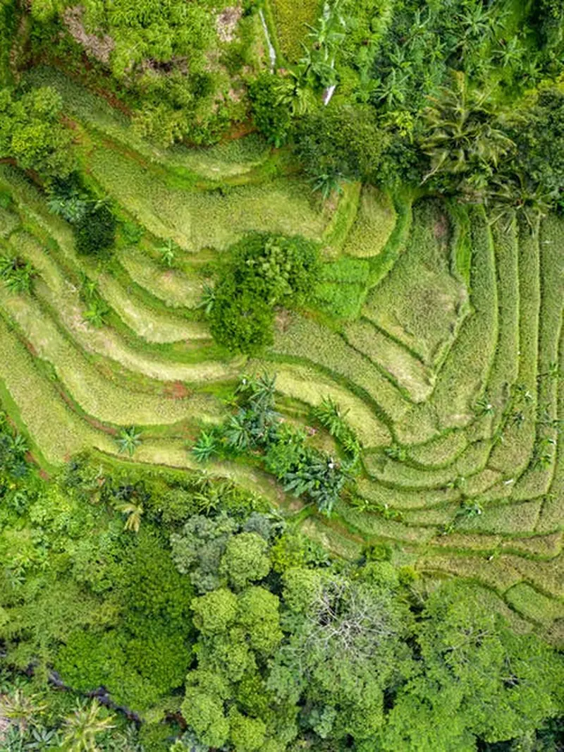 Tagalang Ubud