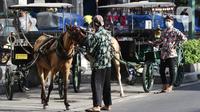 Pengemudi delman menunggu penumpang di kawasan Jalan Malioboro, Yogyakarta, Minggu (10/10/2021). Wisatawan yang berkunjung di kawasan wisata Yogyakarta wajib mematuhi dan menerapkan protokol kesehatan karena Daerah Istimewa Yogyakarta masih berstatus PPKM level 3. (Liputan6.com/Helmi Fithriansyah)