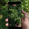 Top 3 Tekno: Hands-on Samsung Galaxy S26 FE Terpopuler