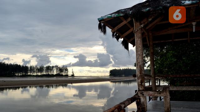 Pagi Bersama Kawanan Bangau Putih Di Muara Jenggalu Bengkulu Regional Liputan6 Com