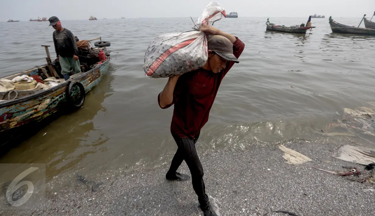 Supardi membawa kerang hijau hasil tangkapannya di kawasan pesisir Cilincing, Jakarta, Jumat (17/6). (Liputan6.com/Faizal Fanani)