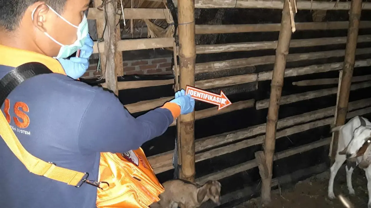 Kandang kambing, lokasi seorang pemuda di Aceh diduga bakar diri (Ist)