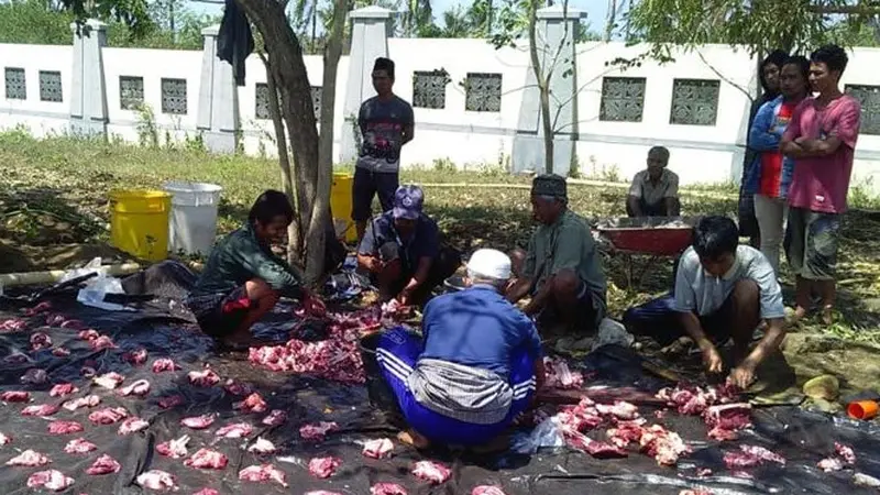 Kemnaker Serahkan 12 Hewan Kurban bagi Masyarakat Lombok