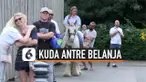 thumbnail kuda antre belanja