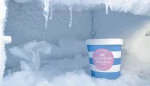 7 Cara Mencegah Bunga Es Cepat Muncul Lagi di Freezer, Jangan Asal Defrost