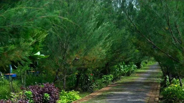 (Foto: Liputan6.com/Dian Kurniawan)