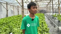 Petani Milenial Bersyukur Jadi Pemasok Sayur MBG
