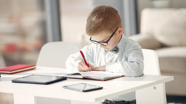 Kecerdasan Logika atau Matematis