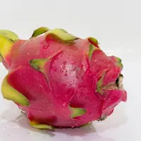 Ilustrasi Buah Naga (Photo by GregReese on Pixabay)