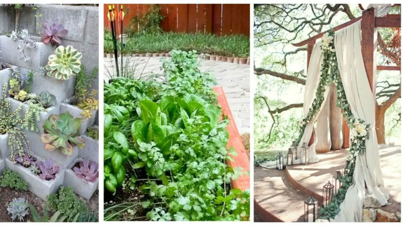 Tips dan Trik Urban Farming Ala Pinterest