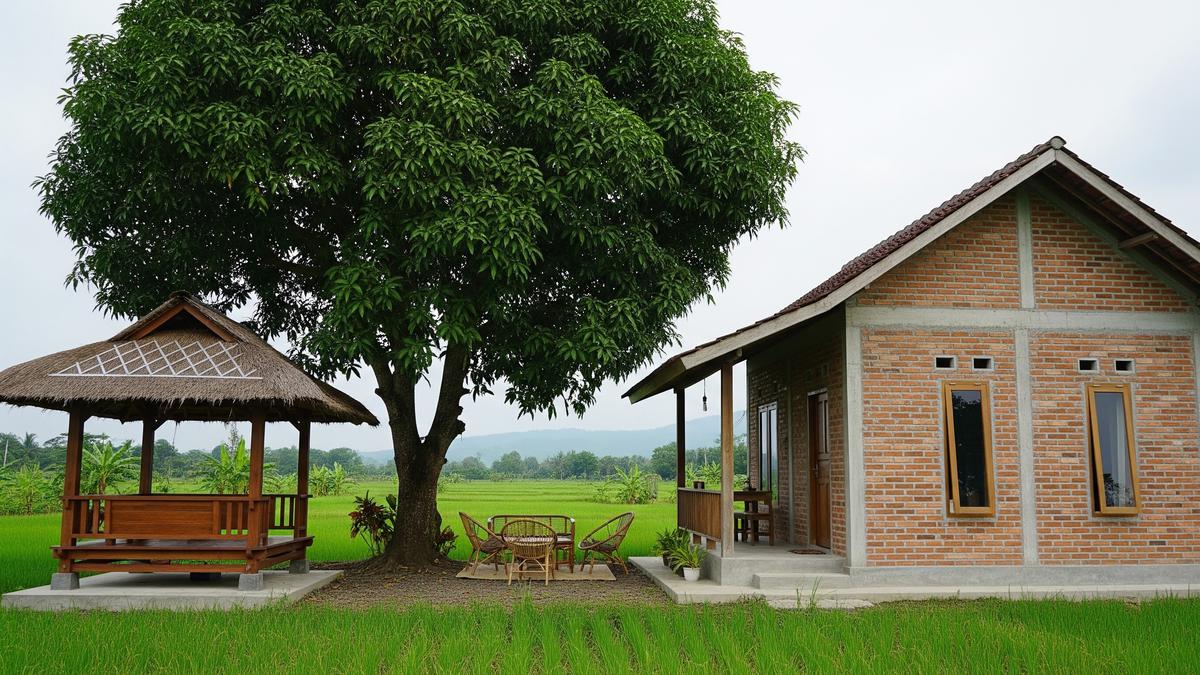 9 Desain Rumah Desa dengan Area Santai Bawah Pohon Mangga, Hunian Sejuk dan Asri