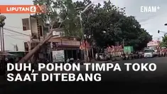 Bagi sebagian orang, menebang pohon dianggap hal yang mudah. Namun sejatinya menebang pohon perlu perhitungan agar tidak menyebabkan kecelakaan seperti yang baru-baru ini viral. Upaya penebangan pohon justru menyebabkan sebuah toko terkena imbas.