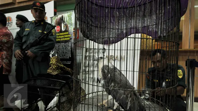 20160115-Pemerintah Sita Puluhan Bagian Tubuh Satwa Dilindungi-Jakarta