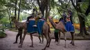 Pengelola Perusahaan Daerah Taman Satwa (PDTS) Kebun Binatang Surabaya (KBS) menyiapkan berbagai wahana ramah anak yang dapat dinikmati selama masa liburan. Tampak dalam foto, anak-anak menunggang unta di Kebun Binatang Surabaya, Jawa Timur, selama libur sekolah sekaligus jelang Natal dan Tahun Baru pada Minggu 21 Desember 2025. (JUNI KRISWANTO/AFP)