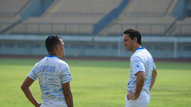 Ferdinand Sinaga, Erwin Snaz, Persib Bandung