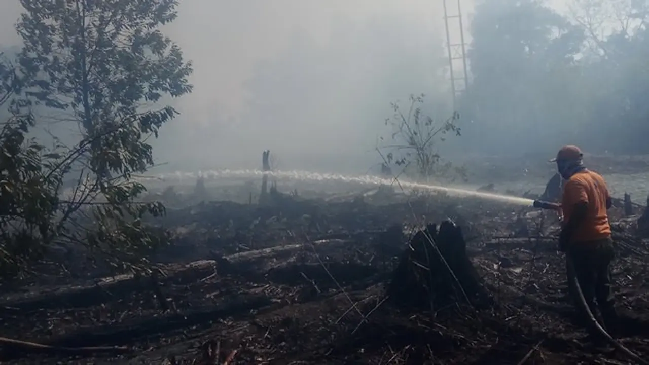 Petugas menyiramkan air untuk memadamkan api di pinggir Jalan Soekarno-Hatta, Kota Dumai.