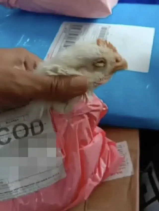 6 Potret Paket Ini Bakal Bikin Kurir Senyum Tipis, Barang Pesanan Anti-Mainstream
