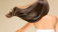 Cara Alami Menyuburkan Rambut Rontok dengan Daun Kari dan Biji Fenugreek