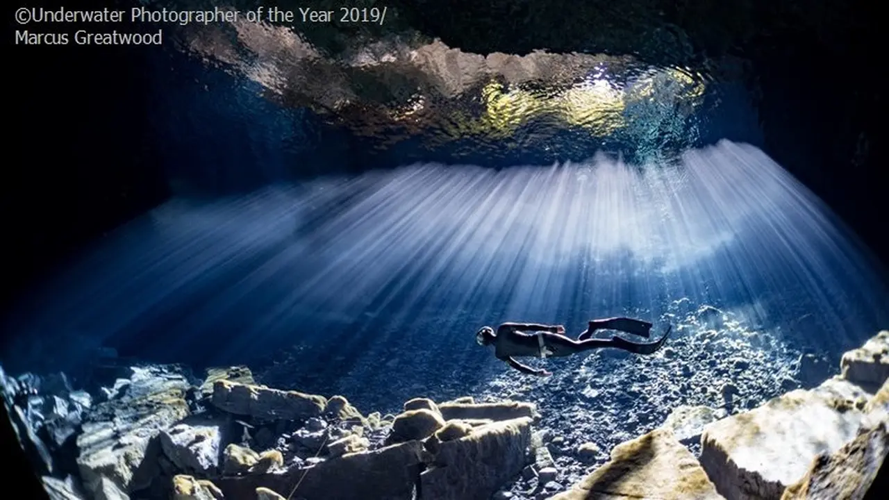 Hasil Jepretan Memukau Fotografi Bawah Air Terbaik 2019