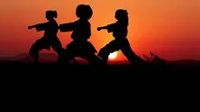ilustrasi karate  (sumber: Pixabay)