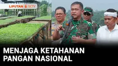 Berbagai cara dilakukan untuk mewujudkan ketahanan pangan nasional. Salah satunya dengan menciptakan kawasan pertanian terpadu atau agroforestry seperti yang ada di Gunung Hejo, Purwakarta.