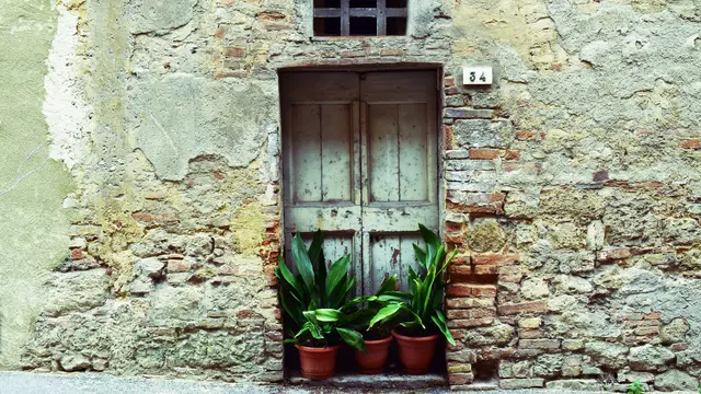 Contoh ilustrasi jamur pada dinding rumah