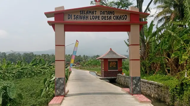 Sukses Gali Potensi Pertanian dan Wisata, Intip Perjalanan Desa Cikaso yang Raih Juara 2 Desa BRILian