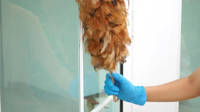 Pasti Kinclong, Begini Langkah Mudah Membersihkan Jendela Rumah yang Sudah Buram dan Dekil