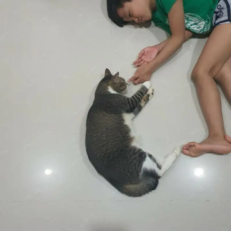 Setia Temani Majikannya yang Sakit, Kisah Kucing Buta yang Diadopsi Ini Bikin Pilu