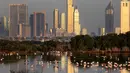 Burung flamingo mencari makan di Ras Al Khor Wildlife Sanctuary di Dubai, Uni Emirat Arab (28/1). Ras Al Khor merupakan sebuah cagar basah yang dikenal untuk menarik burung bermigrasi dalam jumlah besar. (AP Photo / Kamran Jebreili)