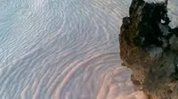 Meski kandungan garamnya tinggi, ikan air tawar juga masih bisa ditemukan di Danau Laut Mati. (dok. www.wisata.nttprov.go.id)