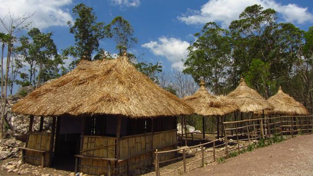 Perpaduan Pesona Alam Dan Aura Mistis Di Gunung Fatuleu