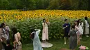 Wisatawan mengunjungi ladang bunga matahari di sebuah taman di Beijing pada 2 Juli 2023. (Photo by Jade Gao / AFP)