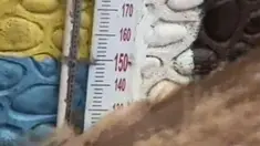 liputan6