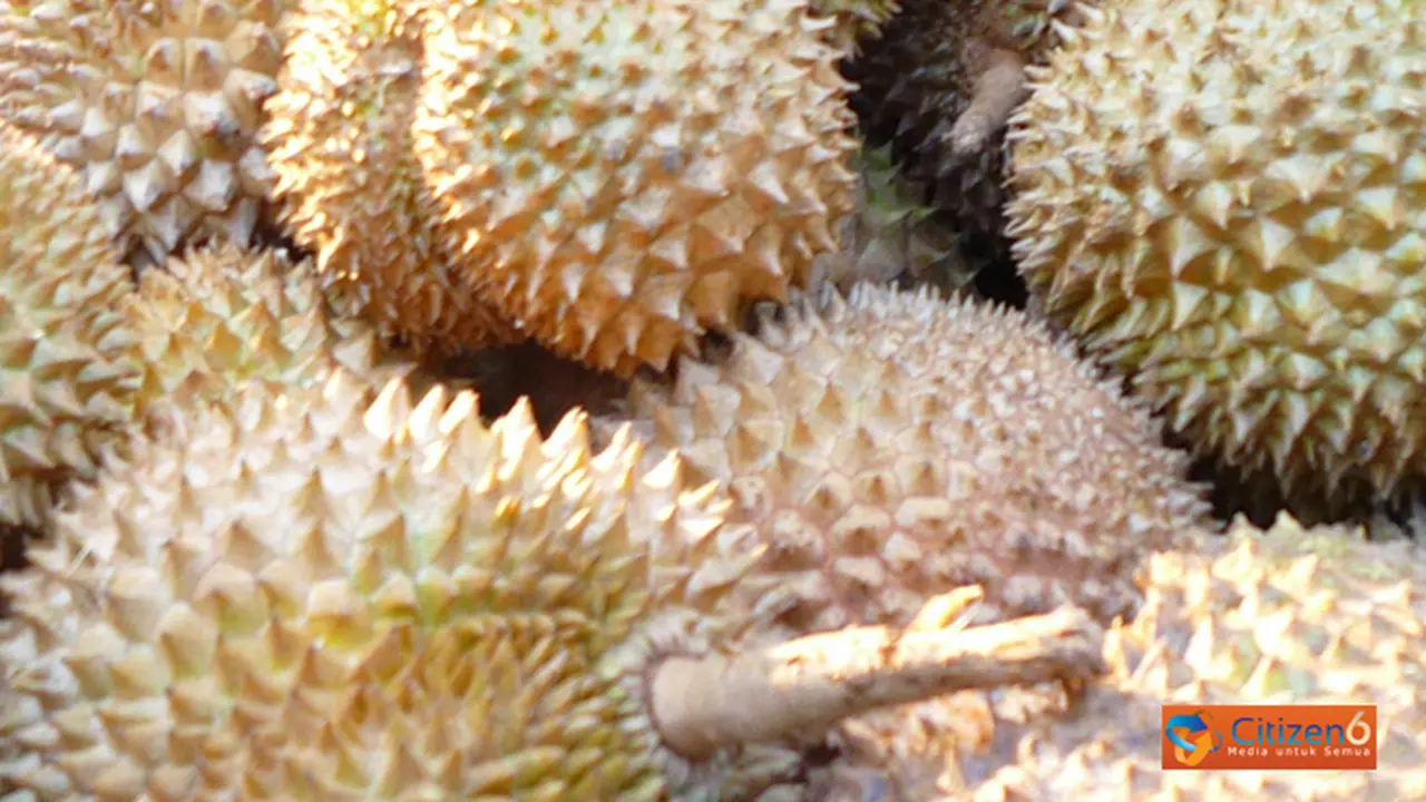 131009cduren.jpg