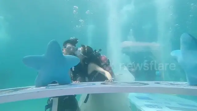 Menikah di Bawah Laut
