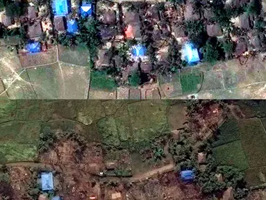Foto dari citra satelit menunjukkan Desa Kyet Yoe Pyin yang dihuni oleh minoritas muslim Rohingya sebelum dibakar pada 30 Maret 2016 (atas) dan sesudah dilahap si jago merah pada 10 November 2016 (bawah). (Copyright 2016 Human Rights Watch/REUTERS)