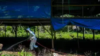 Seorang petugas pemerintah mensterilkan peternakan unggas untuk mencegah penyebaran flu burung di Darul Imarah, Kabupaten Aceh Besar, Provinsi Aceh, Kamis (2/32023). Dinas Peternakan Provinsi Aceh melakukan disinfektan, pemeriksaan kesehatan, dan monitoring ke sejumlah usaha peternak unggas dalam upaya pencegahan flu burung. (CHAIDEER MAHYUDDIN/AFP)