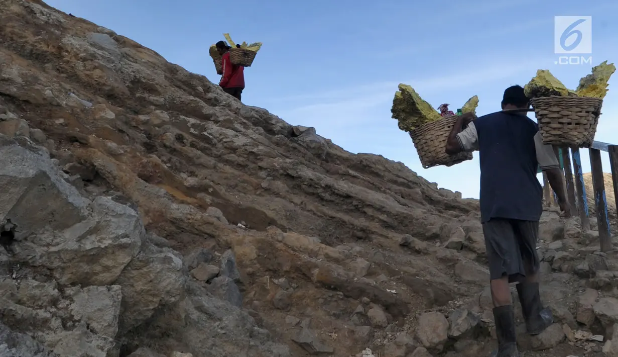 Penambang mengangkut  belerang  di Kawah Ijen, Banyuwangi, Jawa Timur Senin (2/7). Para penambang mampu mengambil dan mengangkut belerang setiap harinya sebanyak 150 - 200 kg dengan upah Rp 100/kg. (Merdeka.com/Arie Basuki)