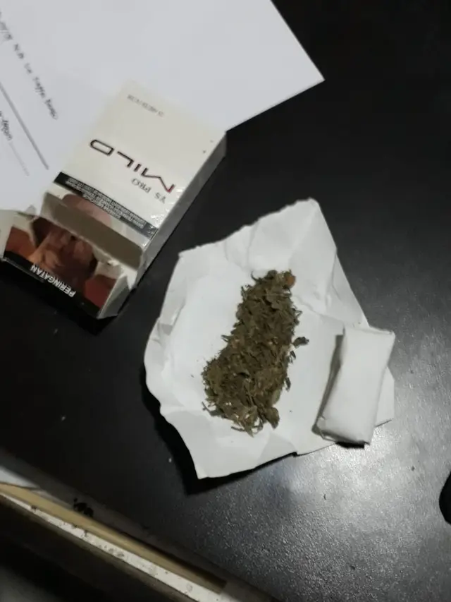 Barang Bukti Ganja Kering yang dibawa dua pemuda di sekitar Terminal Tanjung Priok, Jakarta Utara, Minggu (10/9/2023) dini hari.