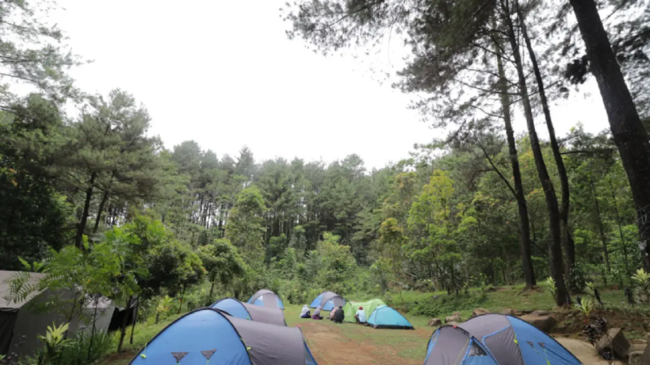 Camping di Taman Wisata Alam Gunung Pancar (gunungpancar.com)
