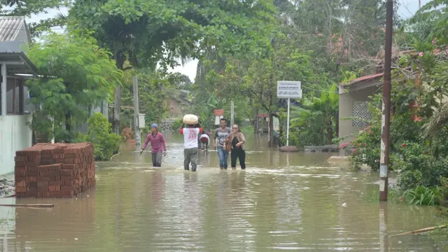 Leptospirosis rawan menjangkit di daerah rendaman. (Foto: Liputan6.com/Muhamad Ridlo)